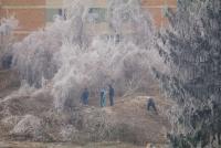 Imagine atasata: 17_0121_2027_1_s.jpg